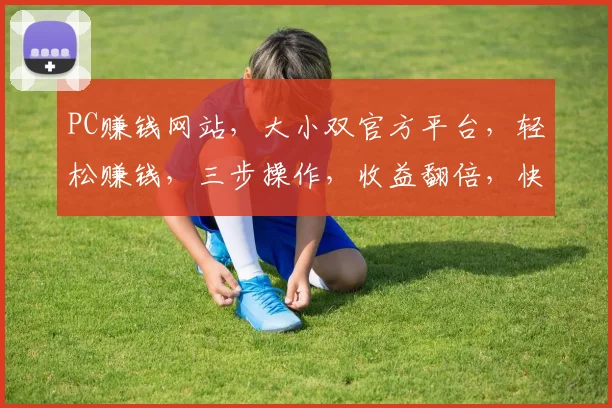 PC赚钱网站，大小双官方平台，轻松赚钱，三步操作，收益翻倍，快来加入