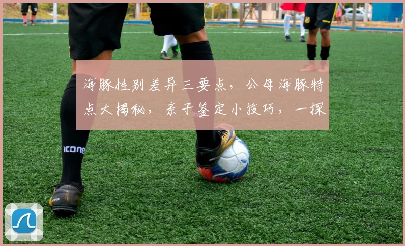 海豚性别差异三要点，公母海豚特点大揭秘，亲子鉴定小技巧，一探究竟逗你笑