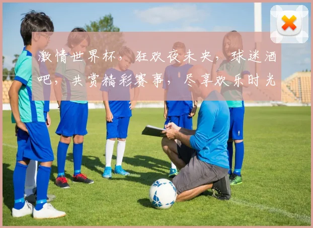 激情世界杯，狂欢夜未央，球迷酒吧，共赏精彩赛事，尽享欢乐时光，一触即发