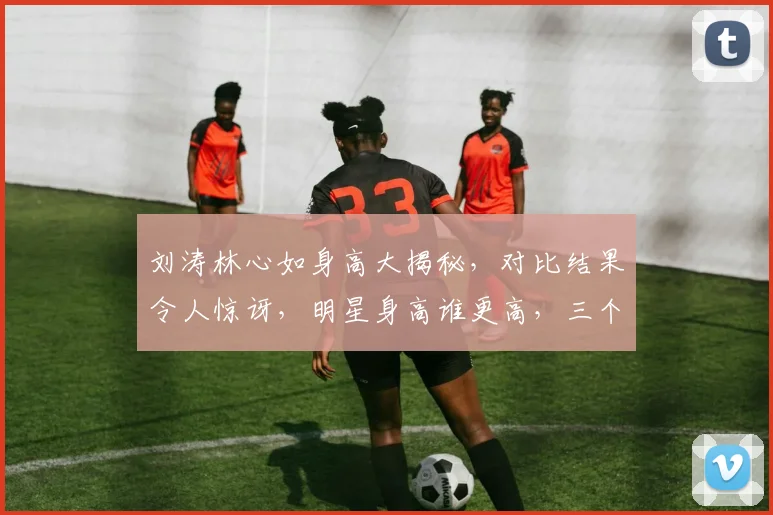 刘涛林心如身高大揭秘，对比结果令人惊讶，明星身高谁更高，三个疑问一网打尽