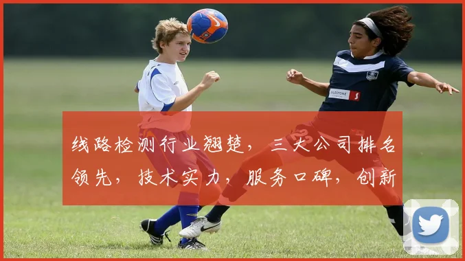 线路检测行业翘楚，三大公司排名领先，技术实力，服务口碑，创新精神，三重优势共鉴。