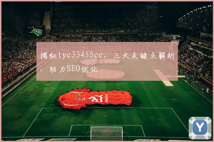 揭秘tyc33455cc，三大关键点解析，助力SEO优化