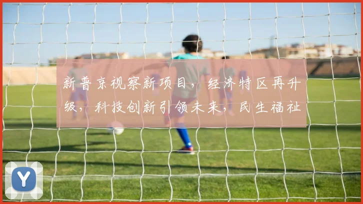 新普京视察新项目，经济特区再升级，科技创新引领未来，民生福祉持续提升，共谋发展新篇章